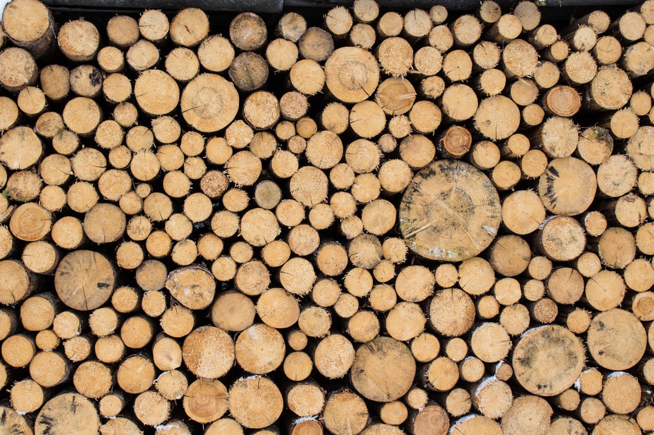 A close-up view of neatly stacked wooden logs of various sizes, perfect for background or texture use.