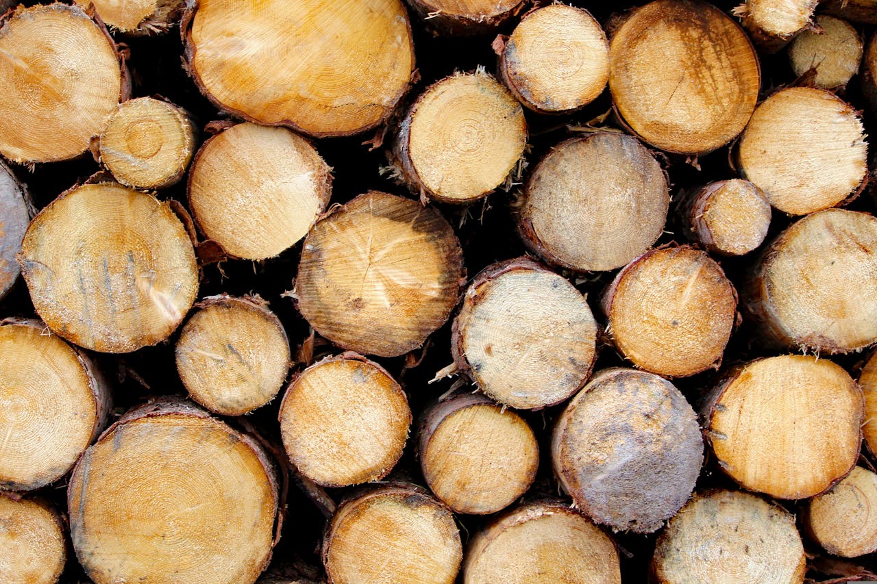 Close-up view of freshly cut log slices stacked for wood storage, showing natural texture.
